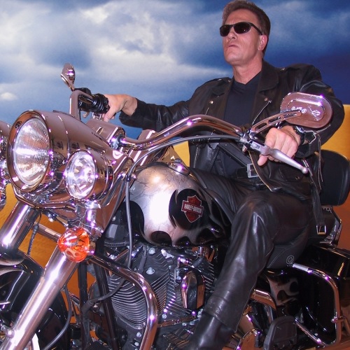 Arnold Schwarzenegger Lookalike