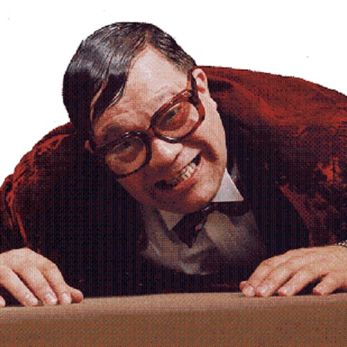 Bob de Rooij Lookalike