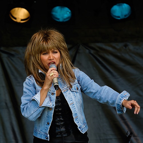 De Tina Turner Lookalike