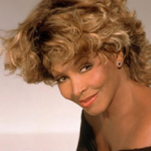 De Tina Turner Lookalike